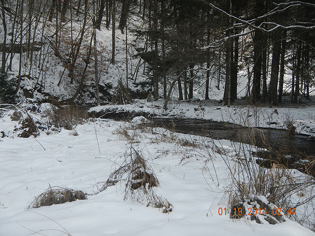 mlk and misc 01-20-2014 023.jpg -                                The deep hol at the bend also did not produce.